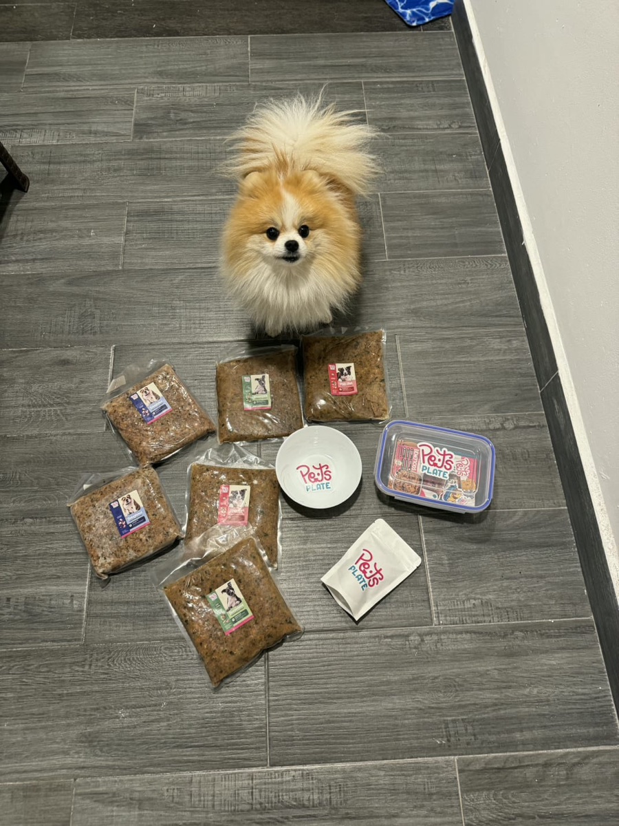 Kit Introductorio de dieta cocida para mascotas Pets' Plate: muestras de las recetas, plato y contenedor